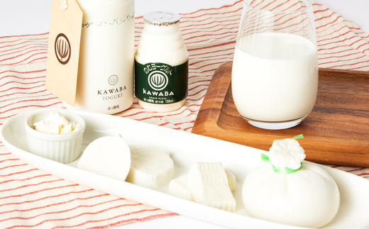 4種のチーズとヨーグルトセット【配送不可地域：離島】