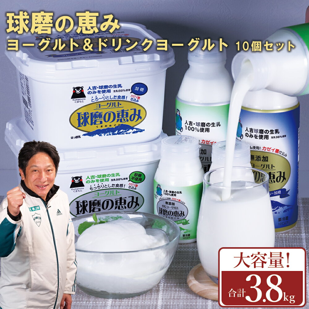 【ふるさと納税】球磨の恵みヨーグルト＆のむヨーグルト プレーン 大容量セット ヨーグルト (加糖・砂糖不使用) 1000g 1パックずつ のむヨーグルト (加糖・砂糖不使用) 450g 1本ずつ 150g 3本ずつ 送料無料 熊本県 水上村