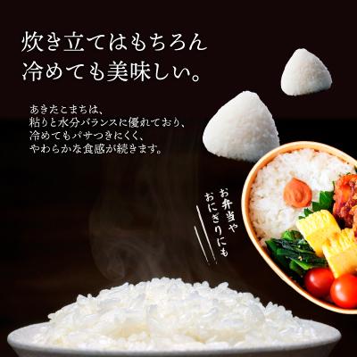 ふるさと納税 大館市 【令和7年産】秋田県大館産あきたこまち　5kg |  | 02