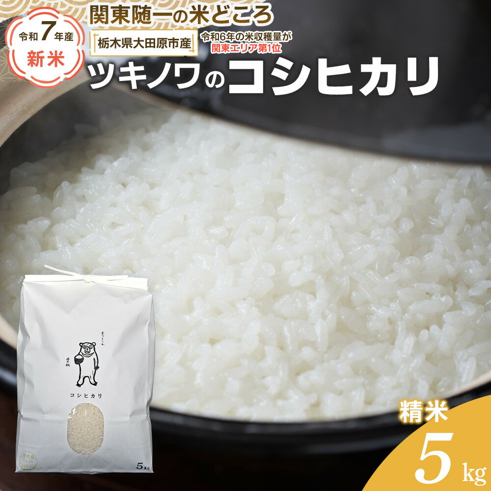 【ふるさと納税】【令和7年産 】ツキノワのコシヒカリ 精米 5kg ｜お米 白米 ご飯 コメ 栃木県 大田原市 | お米 こめ 白米 食品 人気　おすすめ　送料無料