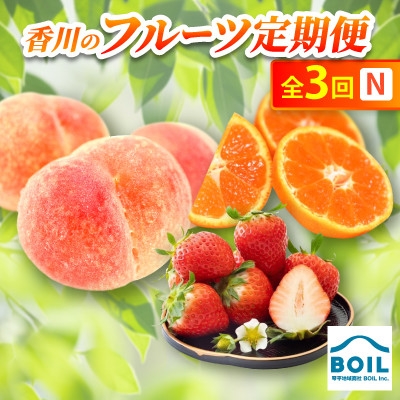 
                  ＜発送月固定定期便＞香川のフルーツ(3N)全3回【4083534】
                