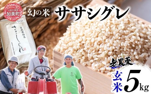 《 希少品種米 》 新米 米 令和7年 宮城県産 ササシグレ ( 栽培期間中農薬・肥料不使用 ) 玄米 5kg ｜ 宮城県 加美町 無農薬 お米 こめ コメ ささしぐれ ササニシキ の 父 ｜ nt-ss05-gn-r7