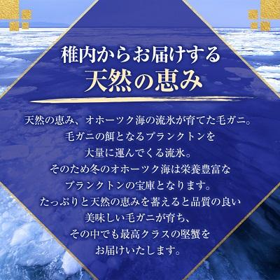 ふるさと納税 稚内市 【稚内産・極】  浜ゆで毛ガニ(堅蟹) 570g×2尾 |  | 02