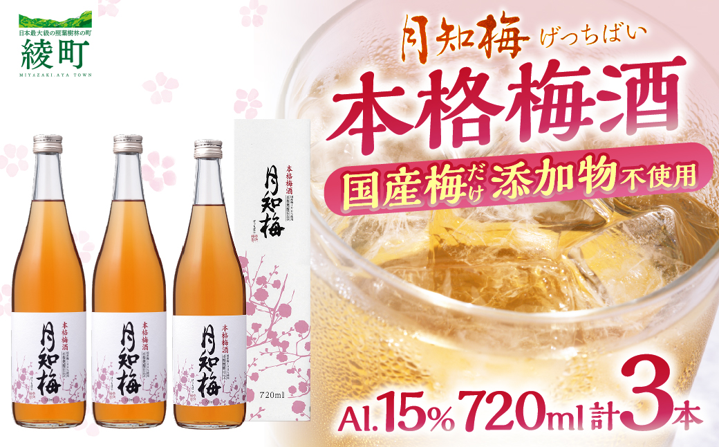 【雲海酒造】国産梅100%使用 本格梅酒「月知梅」720ml×3本_A0087-011