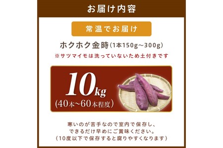 さつまいもオブザイヤー受賞のサツマイモ農家が作る「ホクホク金時」10kg（40～60本程度（150〜300g／本））