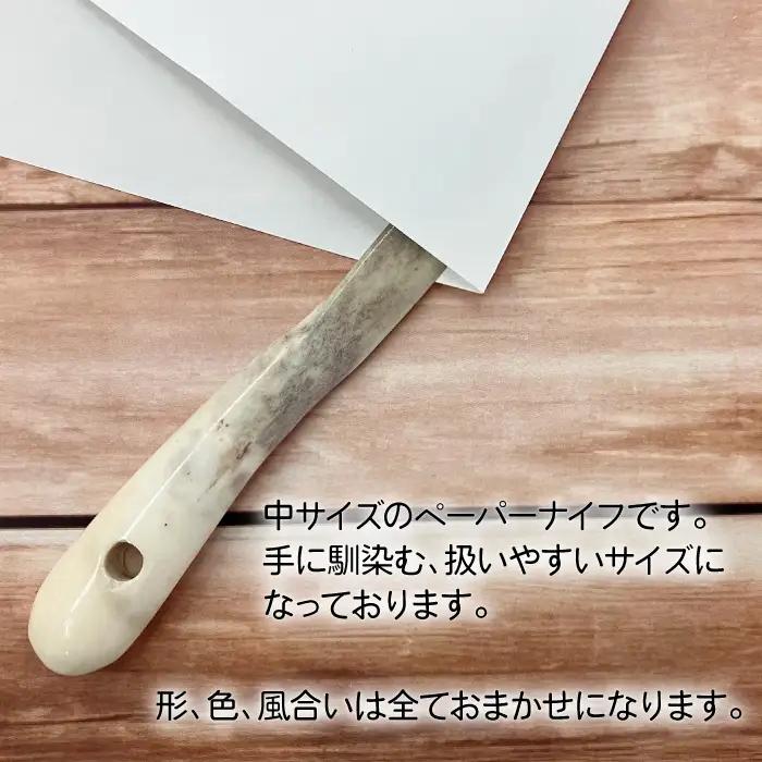鹿の角 ペーパーナイフ 中 1個 右手用 【竜鹿】