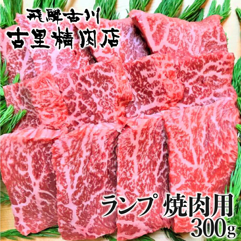 【ふるさと納税】飛騨牛 5等級 もも肉レア部位 ランプ 焼肉用300g 飛騨市推奨特産品 古里精肉店 牛肉 和牛 肉 焼肉 熨斗掛け 熨斗掛け 30000円 3万円 [C0043ch]