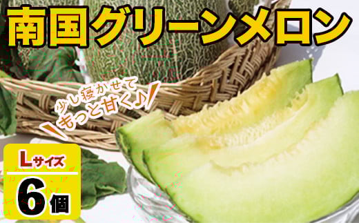 鹿児島県産！南国グリーンメロン(Lサイズ×6個) メロン めろん 果物 スイーツ デザート フルーツ 【あくね旬の店いきいき館】akn015-20
