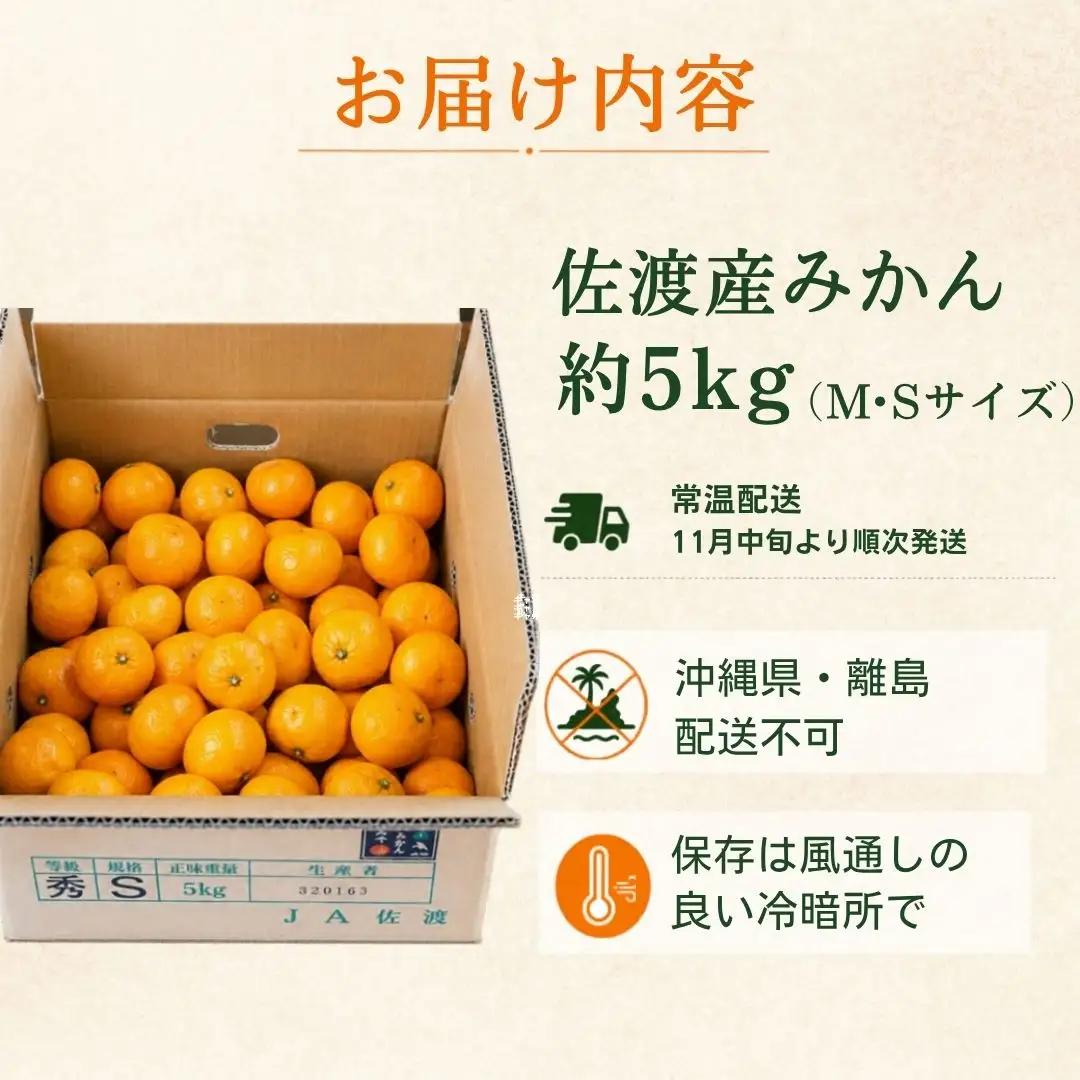 みかん 約5kg MまたはSサイズ| 新潟県 佐渡市 みかん