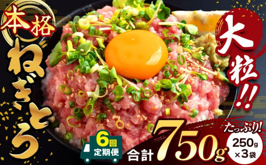 【 6回 定期便 】 大人気！ねぎとろ（ 250g × 3袋 ）合計 750g  清幸丸水産 | ネギトロ とろ 鮪 海鮮 魚介 魚 人気 小分け 人気 定番 ご飯 オススメ | 千葉県 君津市