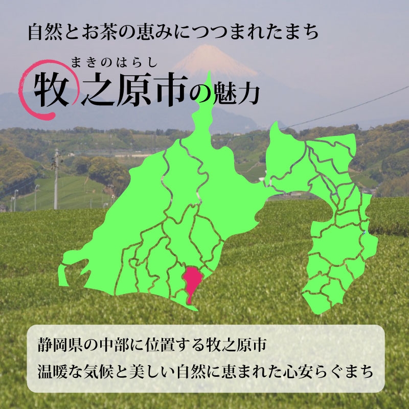 
            深蒸し茶 ティーバッグ 10袋 セット 深蒸し 深むし 深むし茶 ティー お茶 茶 本格的 美味しい おいしい 美味い オススメ おすすめ 日本茶 静岡茶 牧之原茶 静岡県産 牧之原産 緑茶 おちゃ りょくちゃ 飲料 飲みもの ドリンク 日用品 家庭用 自宅用 贈り物 プレゼント ギフト 簡単 手軽 便利 産地直送 農家直送 国産 安心 日常 普段 静岡お茶 静岡緑茶 喜作園 静岡県 牧之原市 
          