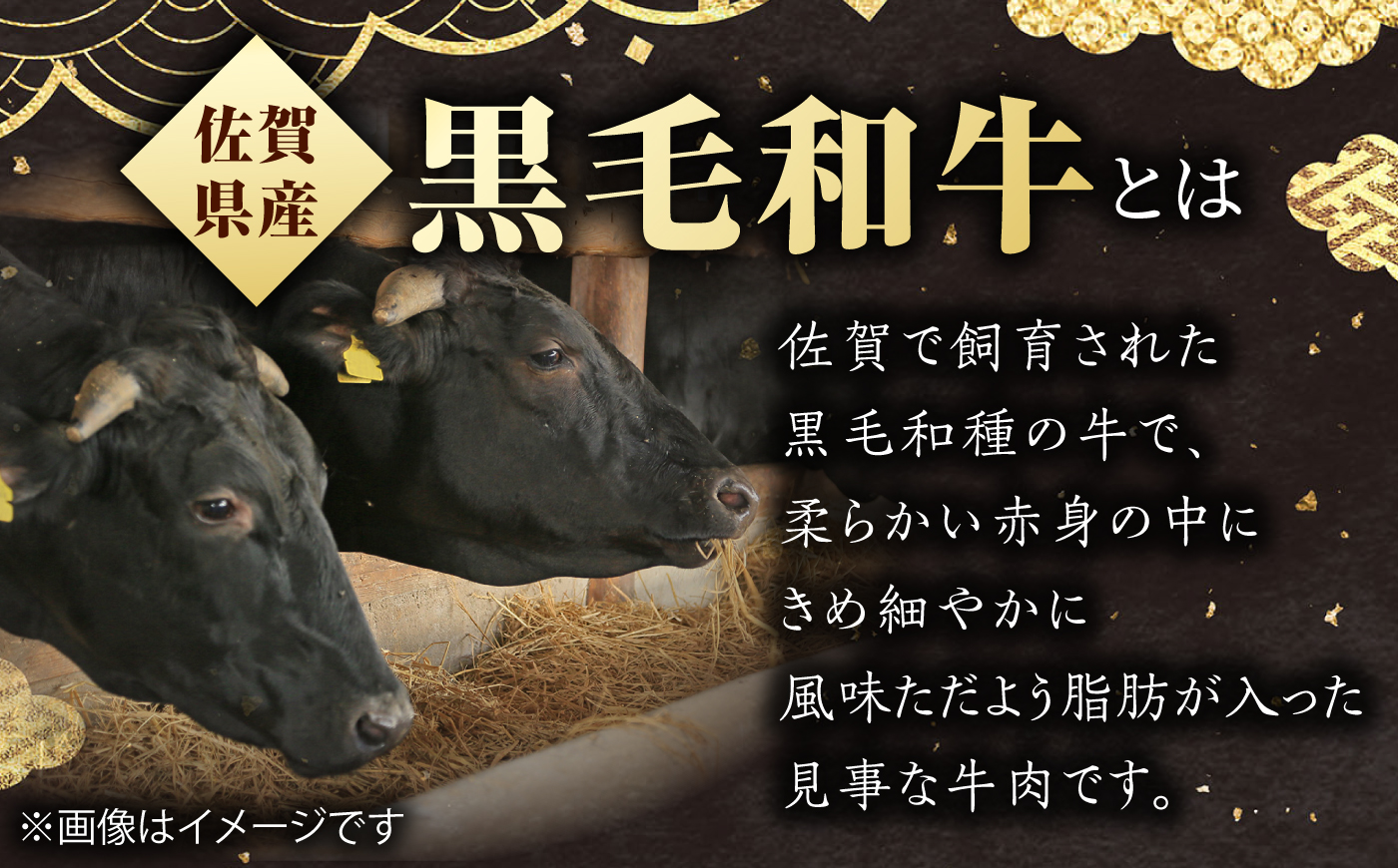 佐賀県産黒毛和牛 ヒレステーキ 300g（約150g×2枚）【いろは精肉店】 [IAG251]