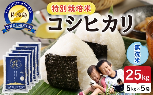 令和8年産 佐渡島産コシヒカリ 無洗米25kg 特別栽培米 | 新潟県産コシヒカリ 新潟産コシヒカリ 佐渡産コシヒカリ コシヒカリ 特別栽培米 お米 米 無洗米 むせんまい おこめ コメ 25キロ にいがた さど 新潟県 佐渡市 195962-122702