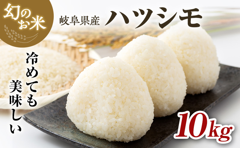新米 令和7年産 岐阜県産 ハツシモ 10kg お米 ※2025年11月下旬頃より順次発送予定