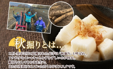 【 2026年 出荷 】 北海道 倶知安町産 長芋 2L×約6本 計5kg 秋堀り 芋 ながいも とろろ 新鮮 フレッシュ 野菜 農作物 産直 山芋 麦とろ 山かけ おつまみ グリーンアースファーム 
