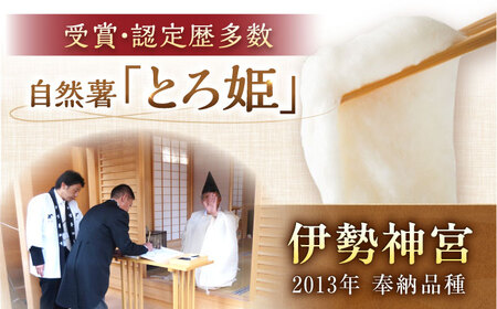自然薯 冷凍 とろろ 3パック（計540g）/ 恵那市 / 水戸屋 [AUFZ003] とろろ