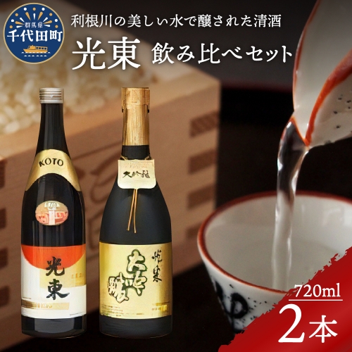 日本酒 大吟醸 清酒 【光東】 地酒 セット 群馬県 千代田町 ＜山川酒造＞