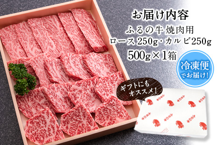 ふるの牛（黒毛和牛）特選焼肉用 500g (ロース250g、カルビ250g) A5 ミシュラン掲載《30日以内に出荷予定(土日祝除く)》