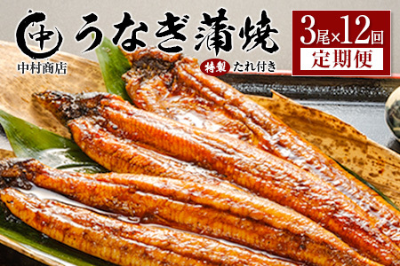 ＜定期便＞3尾×全12回 国産 うなぎ 蒲焼 有頭 計6.5kg以上（1回あたり 計543g以上） たれ付き 宮崎県産 鰻 中村商店