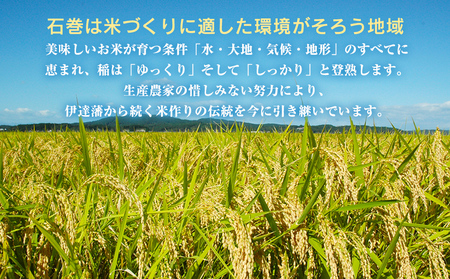 ＜定期便5回・毎月発送＞ 令和6年 だて正夢 いしのまき産米 精米 50kg 10kg×5回