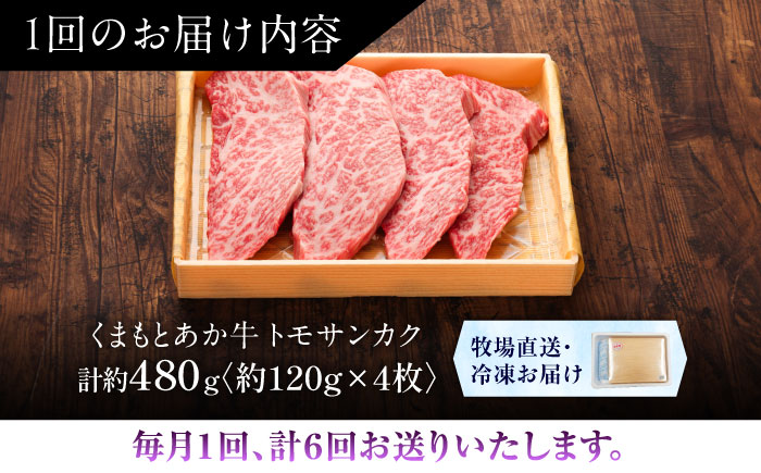 【全6回定期便】【GI認証】くまもとあか牛トモサンカク 約120g×4枚 / 菊陽町 あかうし 熊本県 肉 にく niku ブランド 旨み 【有限会社 三協畜産】 [BHAS079]
