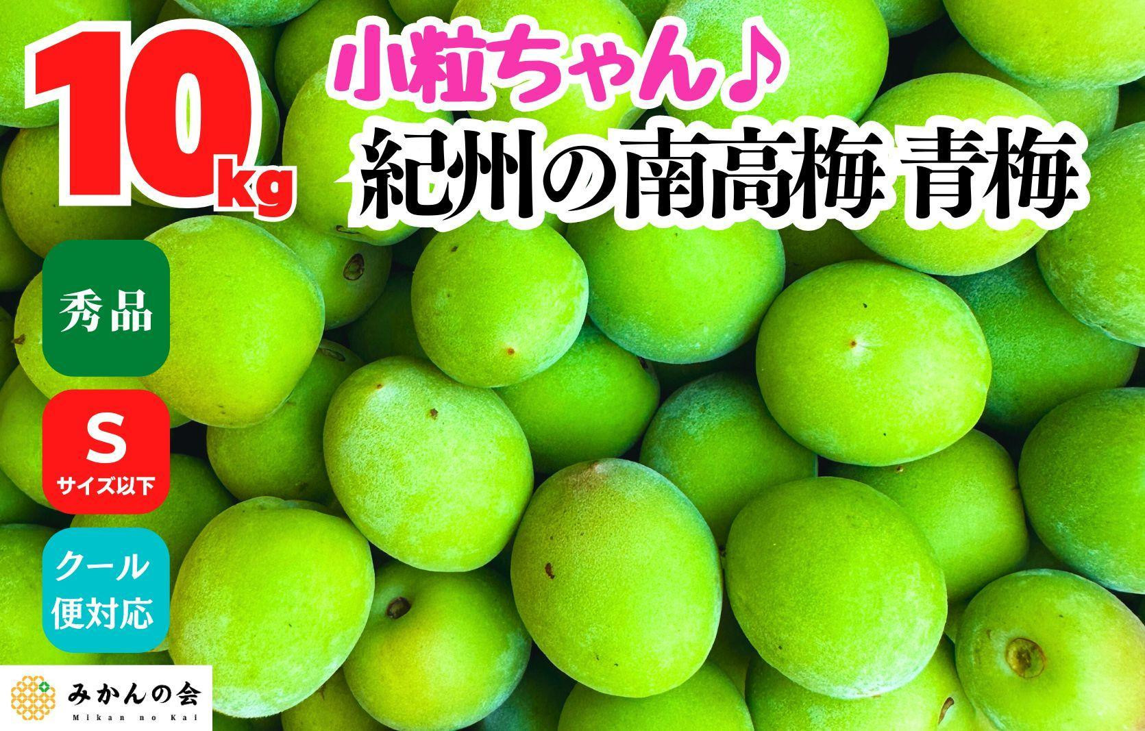 
                  [2025年6月上旬出荷]南高梅 青梅 秀品 小粒ちゃん 約10kg Sサイズ以下 和歌山県産 紀州有田 産地直送 クール便対応 梅酒作り用 梅ジュース作り用
                