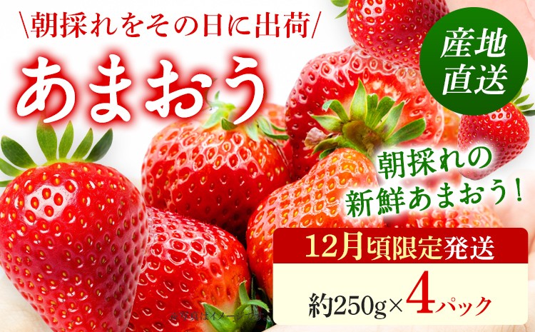 
                  あまおう いちご 産地直送 約250g×4パック 福岡県産 朝採れ ふくおかエコ農産物認証 苺 フルーツ イチゴ 果物 くだもの ストロベリー ichigo ケーキ スイーツ 【12月頃限定発送予定】※北海道・沖縄・離島は配送不可
                