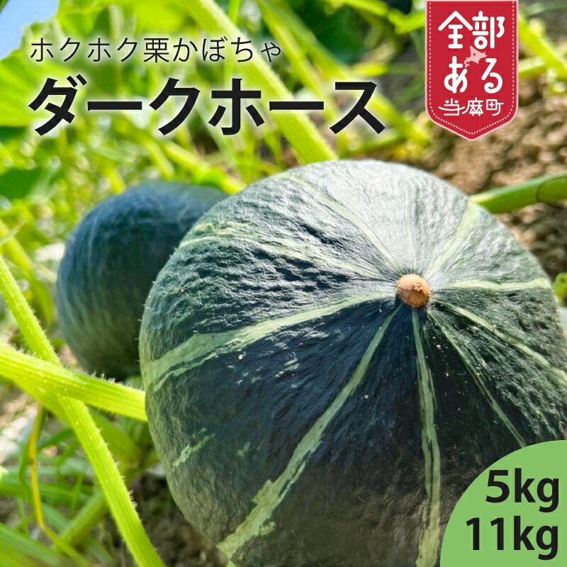 【ふるさと納税】2026年産 かぼちゃダークホース 選べる 数量 北海道 甘い 栗みたいにホクホク 当麻町 阿部ファーム カボチャ 南瓜 お取り寄せ 送料無料