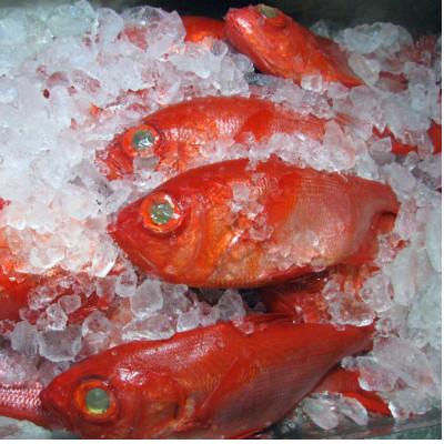 ふるさと納税 伊東市 【数量・期間限定】　金目鯛 天日干しひもの 2枚 詰合せ |  | 03