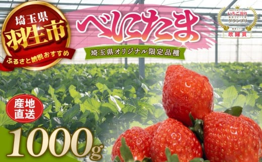 【予約】 べにたま 埼玉限定品種 1000g いちご イチゴ 苺 ストロベリー 産地直送 ご当地 果物 くだもの フルーツ デザート 食品 冷蔵 strawberry ichigo ロコファームHANYU 埼玉県 羽生市