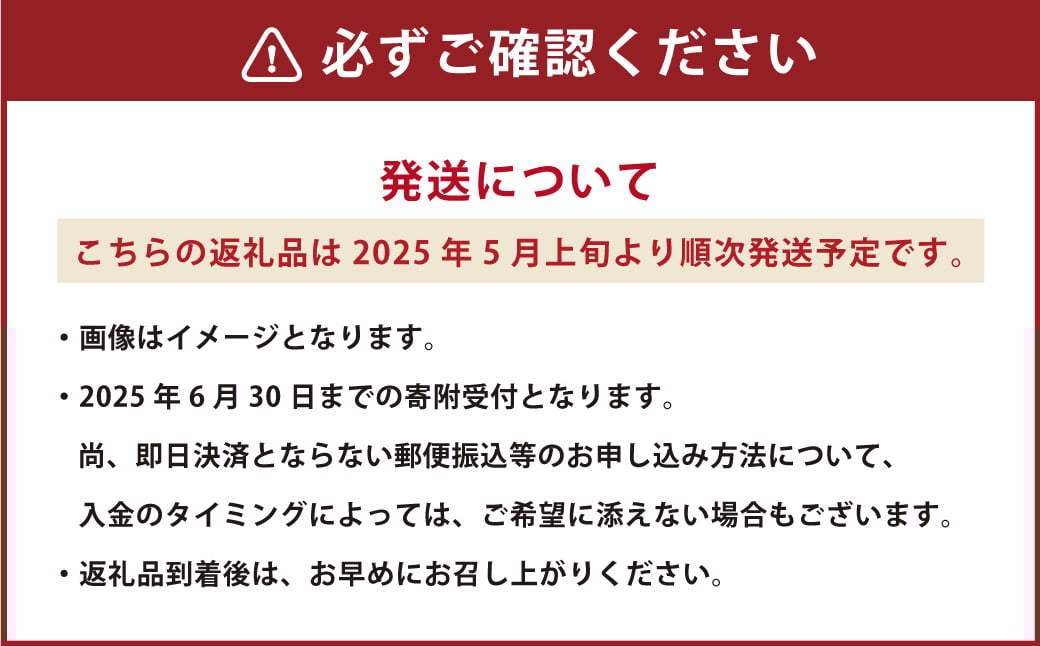 熊本県産 大玉スイカ1玉と肥後グリーンメロン1玉 合計2玉