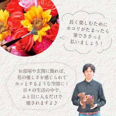 ふるさと納税 笠岡市 フレグランスフラワー&光触媒エコフラワー「番犬くんL」 |  | 03