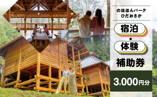 【のほほんパークひだおさか】宿泊・体験補助券（3,000円分）キャンプ 体験 アウトドア ログハウス バンガロー 旅行 下呂市 宿泊券 小坂 宿泊