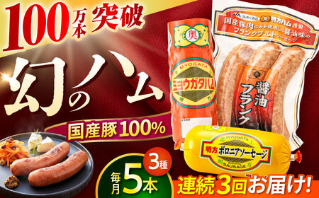 【3回定期便】明方ハム詰め合わせ Ａセット / 明方 ハム 厚切り ボロニアソーセージ ハムステーキ 朝食 フランクフルト ウインナー BBQ ソーセージ フランク 箱入り ギフト / 御嵩町 / めぐみの農業協同組合[AVBA003]