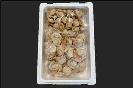 ＼漁業者応援品／【北海道根室産】ボイルホタテ800g×2P、ボイルベビーホタテ1kg×1P B-01060