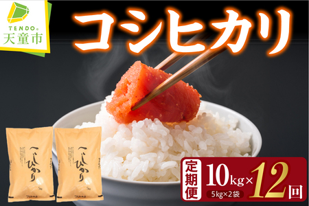 コシヒカリ 定期便 ( 5kg × 2袋 ) 12回 お届け 米 精米 山形 08-30-051