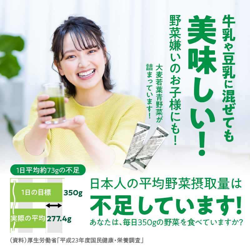 青汁 ドラッグストア売上No.1 大麦若葉100％ 山本漢方 徳用 154スティック　粉末 抹茶風味 無添加 健康食品