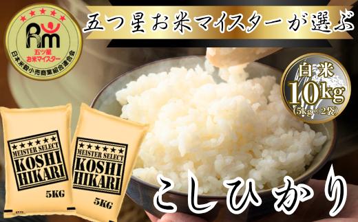 
                  コシヒカリ白米5kg×2袋
                