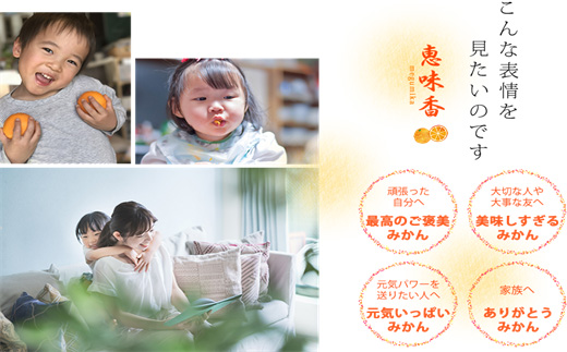『予約受付』【令和7年3月上旬発送】糖度が高すぎッ！味香デコ 10kg 新品種 果皮も美味しく食べられる！フルーツ 果物 デザート 柑橘