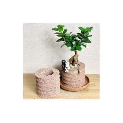 ふるさと納税 高浜市 アクアプラントポットHACHI「円(マドカ)」 |  | 01
