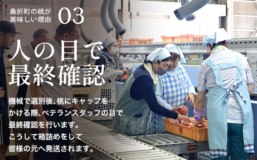 もも【2026年産9月発送／品種おまかせ】特秀3kg（8～11玉）桑折町振興公社　【07301-0234】