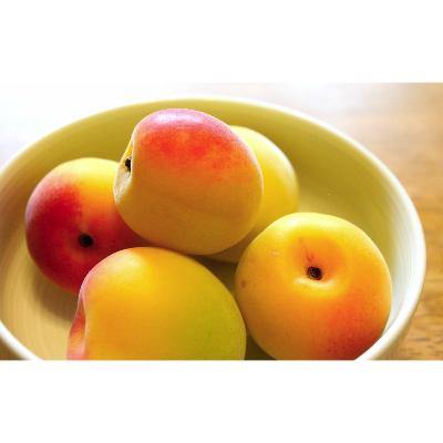 ふるさと納税 和歌山市 2025/6月より発送【梅干し・梅酒用】紀州和歌山の熟南高生梅3Lor2L-2kg |  | 02