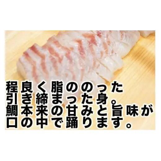 【 須崎真鯛 】 須崎真鯛2匹分