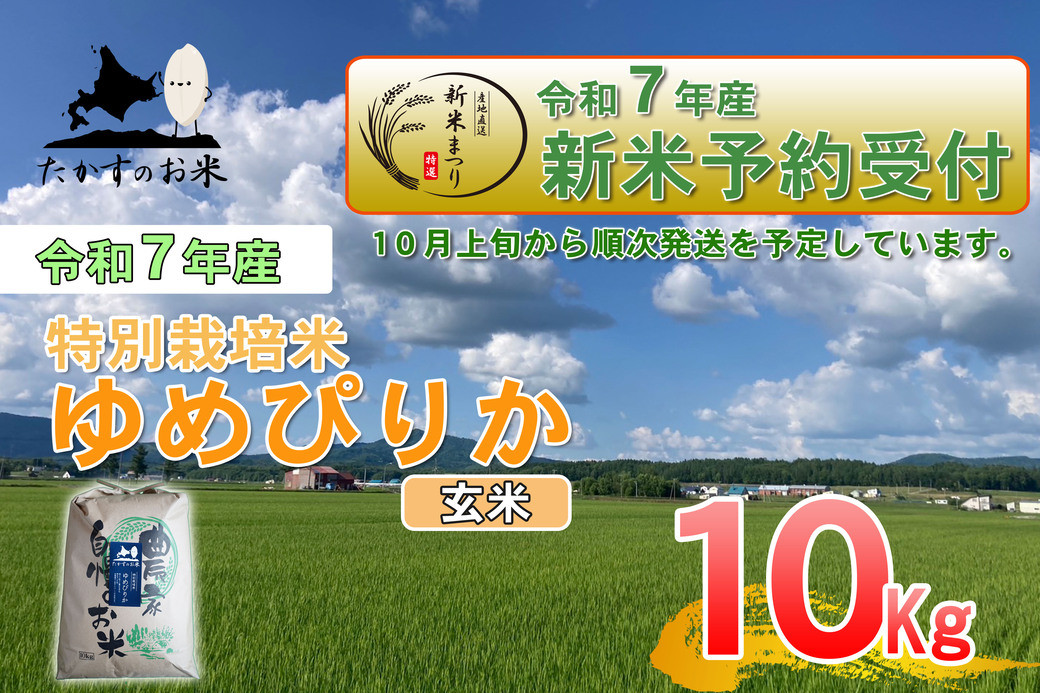 
            【令和7年産】 ゆめぴりか (玄米) 北海道 米 を代表する人気の品種 10kg 北海道 鷹栖町 たかすのお米 米 コメ こめ ご飯
          