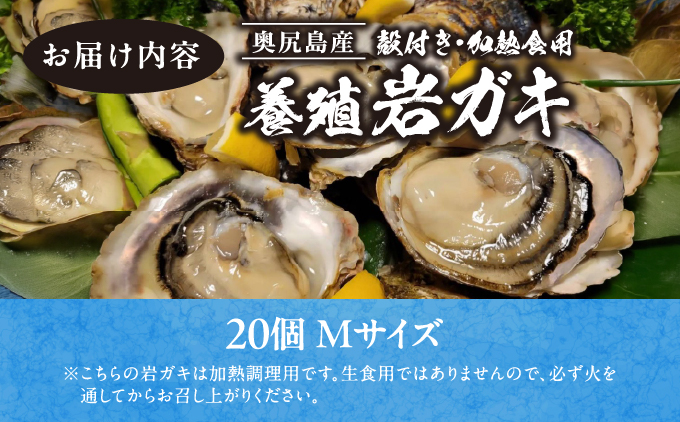 【先行予約 2026年7月20日より発送】奥尻島産養殖岩ガキ【Mサイズ】殻付き 20個入り（加熱食用）〜豊かな海が育てた海の宝石〜 | 冷蔵 | 北海道 奥尻町 送料無料 OKS13-004