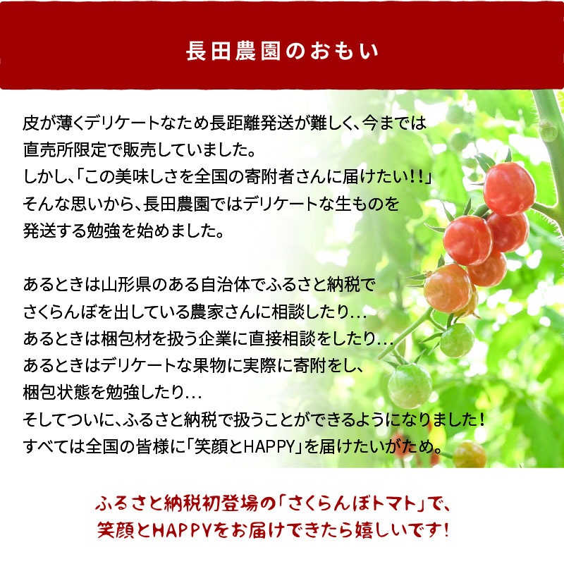 新食感!!奇跡のさくらんぼミニトマトの定期便 約1kg×6回コース 野菜ソムリエサミット 金賞 受賞 長田農園 産地直送 トマト とまと 野菜 やさい フルーツ サラダ 濃厚 甘い ご褒美 プレゼント