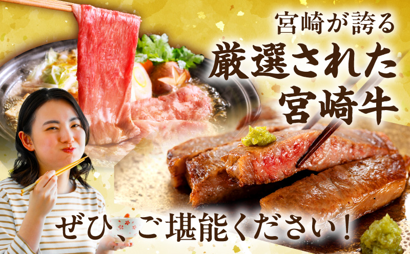 【全12回定期便】宮崎牛プレミアムセレクション 肩ロース ロースステーキ 焼肉
