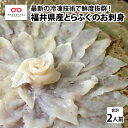 【ふるさと納税】【最新の冷凍技術】福井県産とらふぐのお刺身（てっさ）2人前 約60g / 国産 グルメ ふぐ てっさ 海の幸 海鮮 [B-11008]