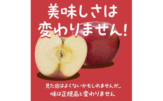 【令和8年産先行予約】 〈訳あり品 家庭用〉 りんご 「サンふじ」 約10kg バラ詰め 《令和8年12月上旬～令和9年2月下旬発送》 『カネタ高橋青果』 リンゴ 山形県 南陽市 [1959]