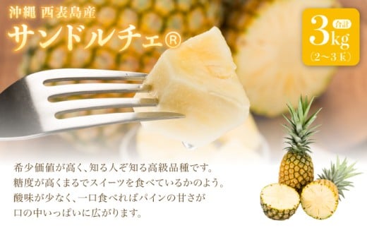熟鮮サンドルチェ(R) 3kg(2～3玉 )2026年 先行予約 パイン沖縄 西表島産 レア品種 沖縄 西表島産 果物 フルーツ